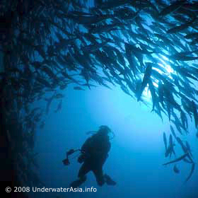 Underwater Photographer